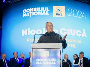 Nicolae Ciucă, desemnat candidatul PNL la prezidențiale: Voi fi în slujba țării, în slujba românilor