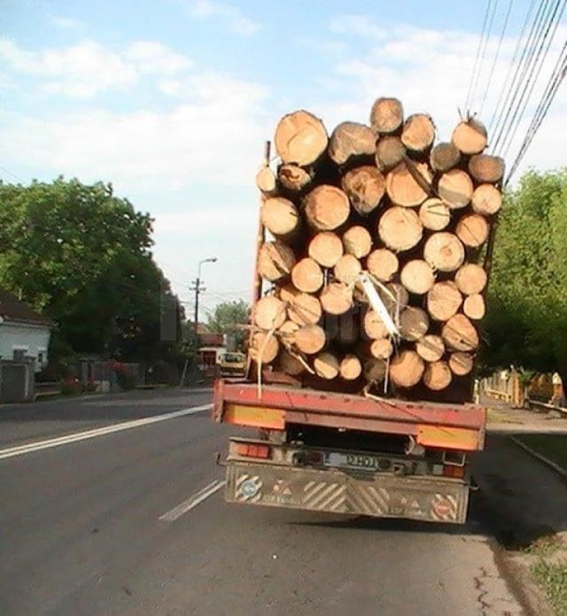 Tir cu lemne (fotografie generică)