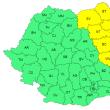 Cod galben de ploi însemnate cantitativ în Moldova și nordul Dobrogei