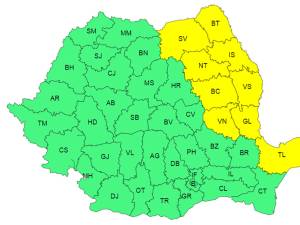 Cod galben de ploi însemnate cantitativ în Moldova și nordul Dobrogei