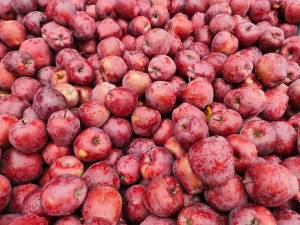 Târgul de toamnă „Produs în Bucovina” și-a deschis porțile, cu multe bunătăți, în centrul Sucevei