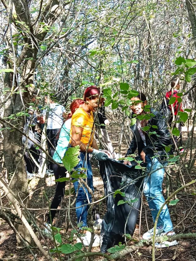 Acțiune de ecologizare la Veresti 2