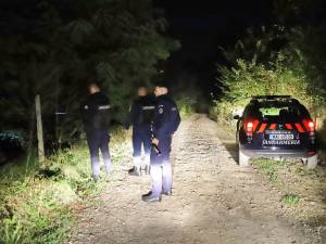 Jandarmii au rămas în monitorizare dar ursul nu a mai apărut