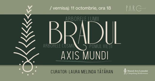 Expoziția temporară „Bradul – Axis Mundi”, la Muzeul Arta Lemnului