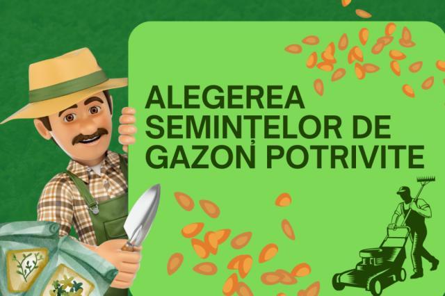 Alegerea semințelor de gazon potrivite