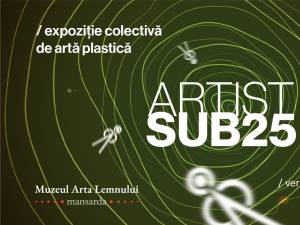 Proiectul „Artist sub 25”, ediția a III-a, la Muzeul Arta Lemnului. Expun 16 tineri artiști