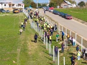 Perdea de arbori plantată la Mitocul Dragomirnei, cu ajutorul a 350 de voluntari