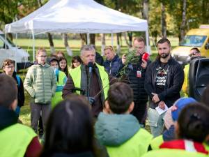 Perdea de arbori plantată la Mitocul Dragomirnei, cu ajutorul a 350 de voluntari