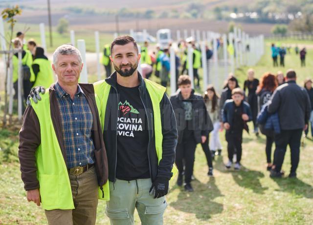 Perdea de arbori plantată la Mitocul Dragomirnei, cu ajutorul a 350 de voluntari