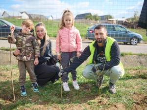 Perdea de arbori plantată la Mitocul Dragomirnei, cu ajutorul a 350 de voluntari