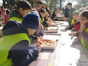 Perdea de arbori plantată la Mitocul Dragomirnei, cu ajutorul a 350 de voluntari