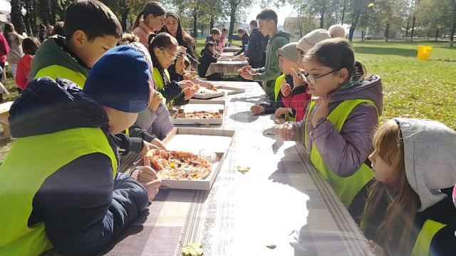 Perdea de arbori plantată la Mitocul Dragomirnei, cu ajutorul a 350 de voluntari