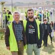 Perdea de arbori plantată la Mitocul Dragomirnei, cu ajutorul a 350 de voluntari