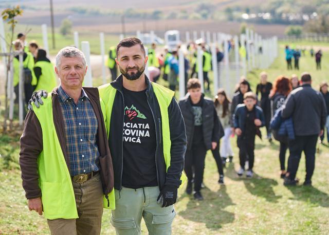 Perdea de arbori plantată la Mitocul Dragomirnei, cu ajutorul a 350 de voluntari