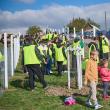 Plantare de arbori cu peste 350 de voluntari la Mitocu Dragomirnei