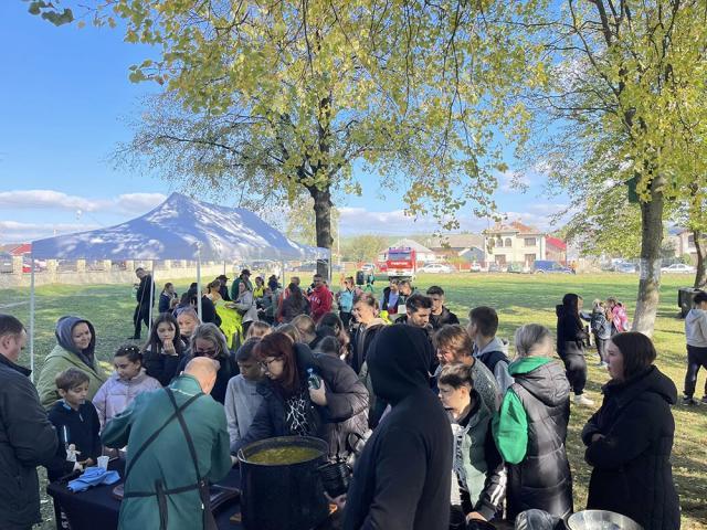 Plantare de arbori cu peste 350 de voluntari la Mitocu Dragomirnei