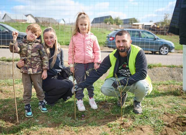 Plantare de arbori cu peste 350 de voluntari la Mitocu Dragomirnei