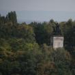 Muncitor mort pe loc după ce un trunchi de copac i-a căzut în cap, în apropiere de statuia ...