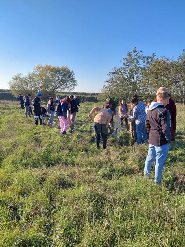 Educația Ecologică în şcoli – un parteneriat pentru Viitor Verde