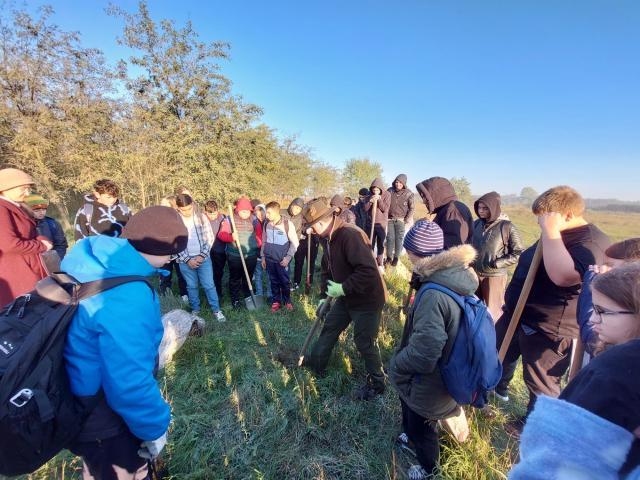 Educația Ecologică în şcoli – un parteneriat pentru Viitor Verde