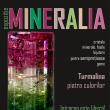 Minerale rare, cristale naturale, bijuterii, pietre prețioase, la Muzeul de Ştiinţele ...