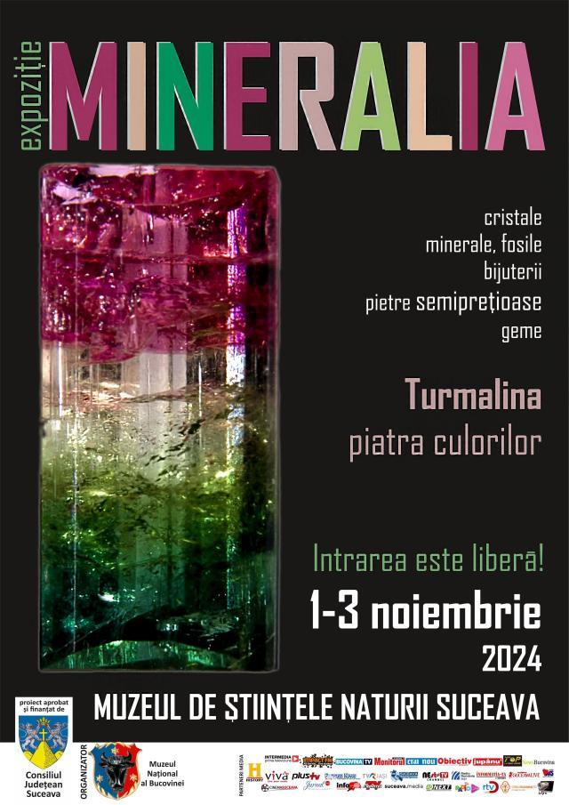 Minerale rare, cristale naturale, bijuterii, pietre prețioase, la Muzeul de Ştiinţele Naturii Suceava