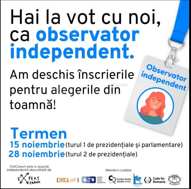 Cum poți deveni observator electoral la alegerile prezidențiale și parlamentare.