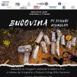 O selecție captivantă de fotografii realizate de artiști suceveni va fi expusă la Galeria ...