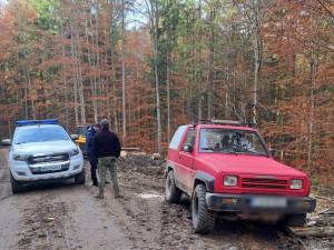 Doi bărbați aflați în pădure cu trei câini au încasat amenzi pentru că patrupedele nu erau în lesă