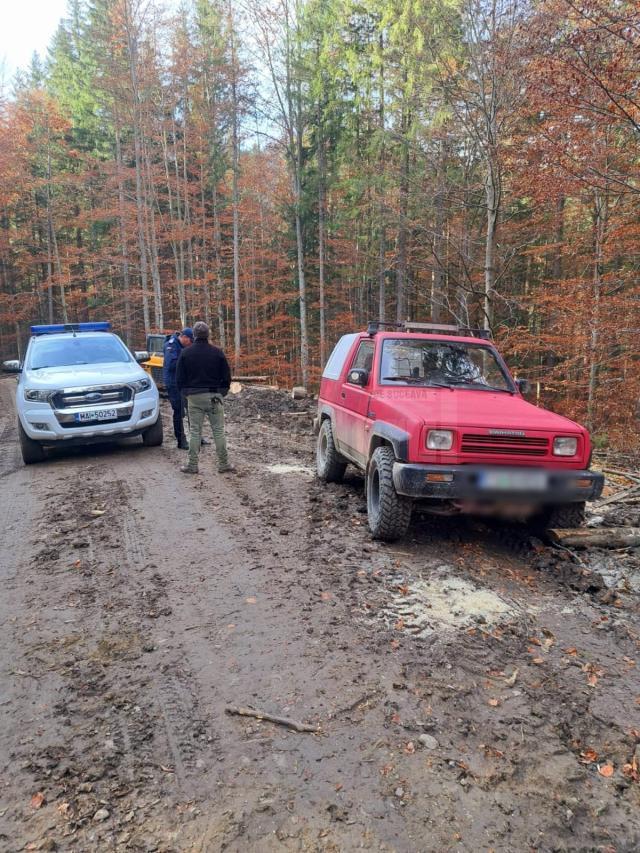 Doi bărbați aflați în pădure cu trei câini au încasat amenzi pentru că patrupedele nu erau în lesă