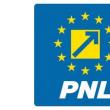 Liberalii invită „pesediștii auriți” să aibă curaj să aleagă vicepreședinții ...