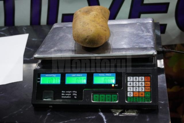 Ziua Comunei Frătăuții Vechi