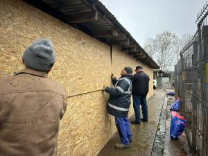 Amplă acțiune de igienizare la adăpostul de câini al orașului.