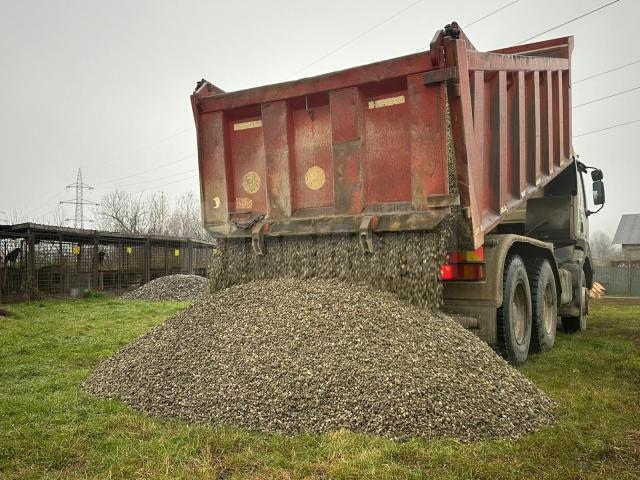 Amplă acțiune de igienizare la adăpostul de câini al orașului.