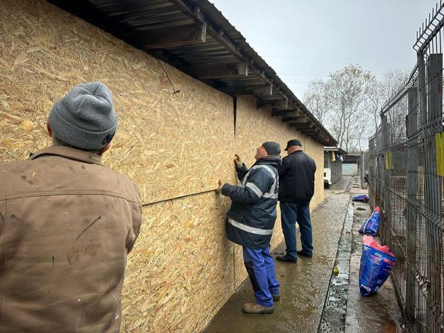 Amplă acțiune de igienizare la adăpostul de câini al orașului. S-au schimbat inclusiv cuștile