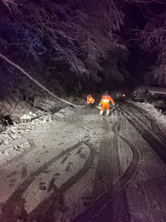 Copaci căzuți pe mai multe drumuri naționale din cauza greutății zăpezii. Circulația rutieră se desfășoară fără blocaje, în condiții de iarnă