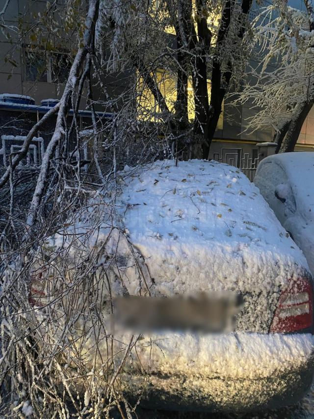 Zăpada apoasă și grea căzută noaptea trecută a rupt crengi și copaci și a dus la avarierea unor mașini