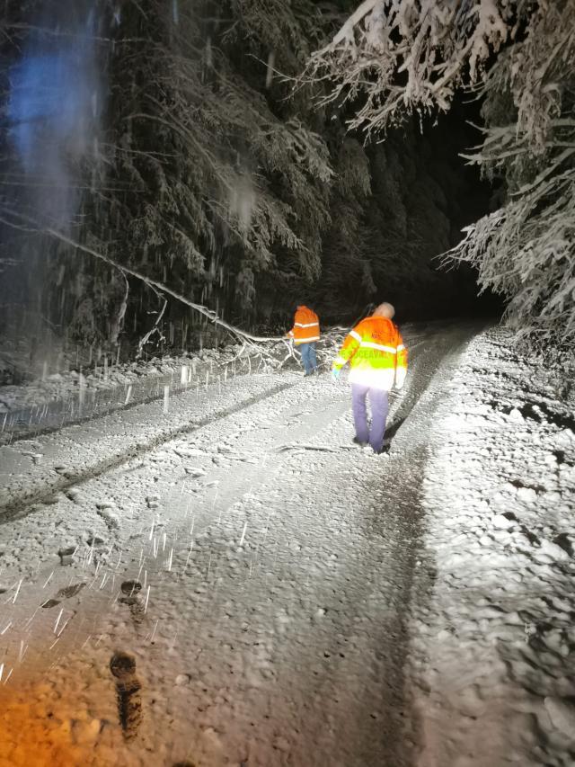 Copaci căzuți pe mai multe drumuri naționale din cauza greutății zăpezii. Circulația rutieră se desfășoară fără blocaje, în condiții de iarnă