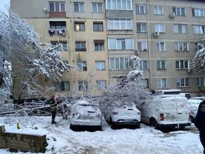 Arbori rupți, crengi căzute și mașini avariate, din cauza greutății zăpezii