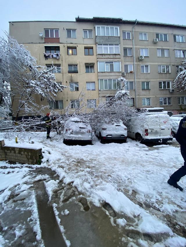 Arbori rupți, crengi căzute și mașini avariate, din cauza greutății zăpezii