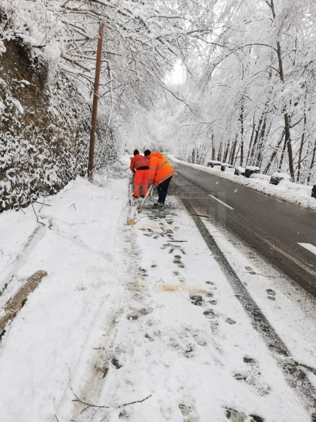 Traficul pe DN 17B în zona Călinești - Chiril a fost blocat timp de o oră după ce un copac a căzut peste o linie electrică