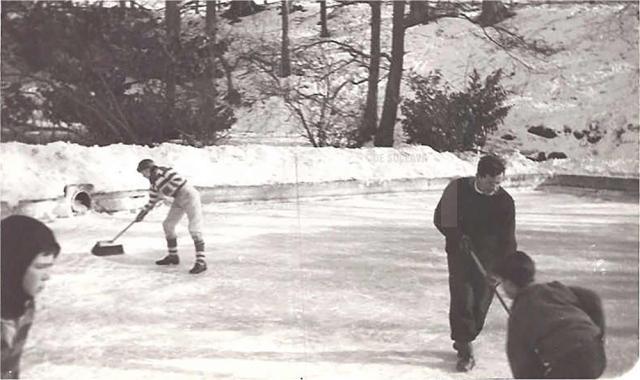 „Trei patinoare la Suceava”