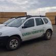 Amendă de 15.000 de lei și lemn confiscat, la Frumosu, după un control la o instalație de ...