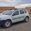 Amendă de 15.000 de lei și lemn confiscat, la Frumosu, după un control la o instalație de ...