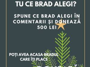 Expoziție de brazi de Crăciun, la Fălticeni. În schimbul unei donații de 500 de lei poți primi un brad împodobit, după data de 20 decembrie