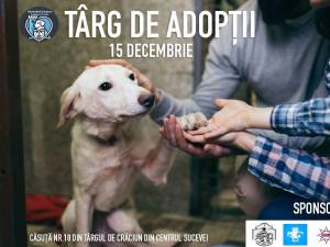 Târg de Adopții de căței, duminică, pe esplanada Casei de Cultură Suceava