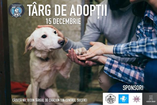 Târg de Adopții de căței, duminică, pe esplanada Casei de Cultură Suceava