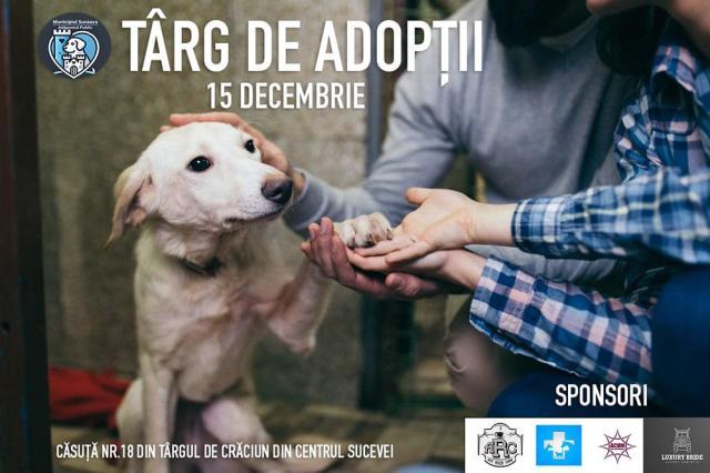 Târg de Adopții de căței, duminică, pe esplanada Casei de Cultură Suceava