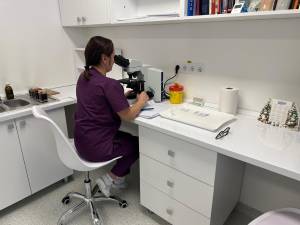 Laboratorul de analize Hereditas din strada vasile Bumbac