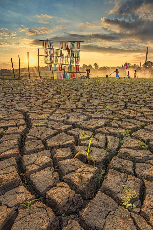 ICS HM B1, Drying cotton - Myanmar - Aung Pyii Zone